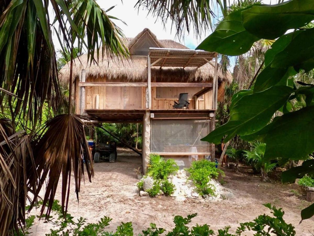 Artisanal Eco Friendly Private Cabin-casa Ixchel Cozumel